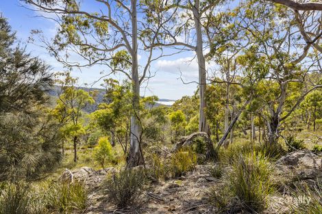 Property photo of 7308 Tasman Highway Orford TAS 7190