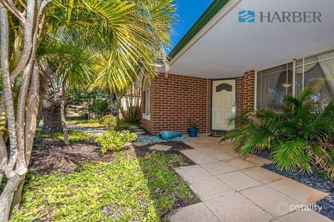 Property photo of 38 Shalimar Rise Currambine WA 6028