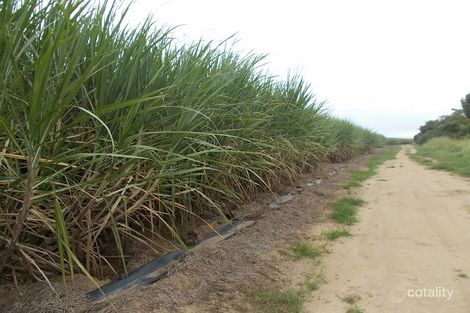 112 Fry Rd, Inkerman, QLD 4806