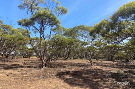 242 Starick Rd, Cambrai, SA 5353