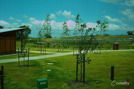 Property photo of 13 Pincally Crescent Ormeau QLD 4208