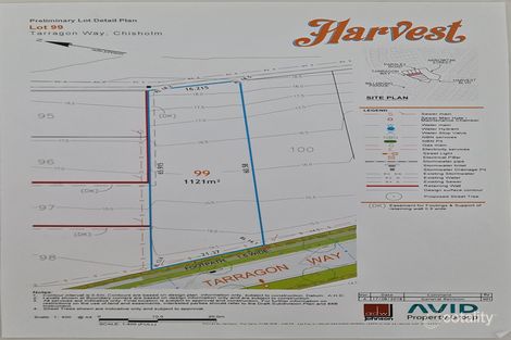 Property photo of 18 Tarragon Way Chisholm NSW 2322