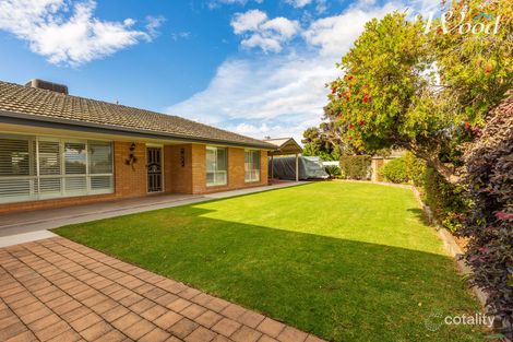 Property photo of 558 Schneider Street Lavington NSW 2641