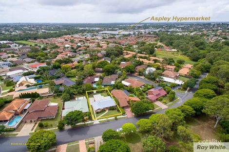 Property photo of 24 Kakanui Street Aspley QLD 4034