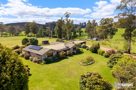 Property photo of 55 Jacksons Road Beulah TAS 7306