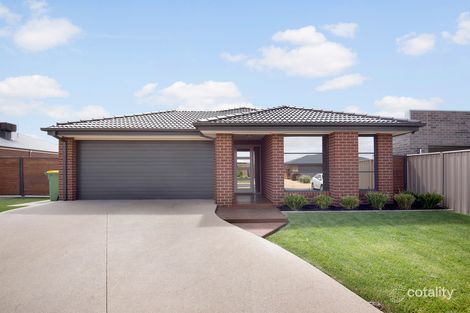 12 Cleary St, Echuca, VIC 3564