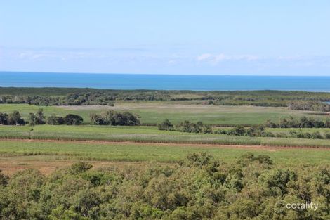 Property photo of 18 Ferrero Road Craiglie QLD 4877