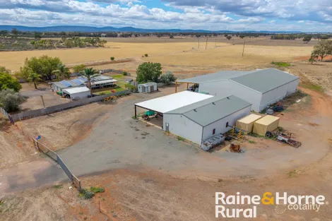 502 Whitton Park Rd, Peak Hill, NSW 2869