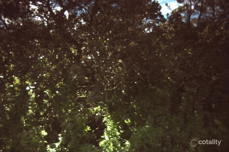 6 Bell St, Barwon Heads, VIC 3227