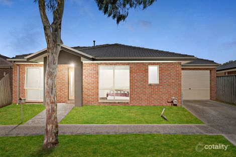 40 Banjo Cct, Lynbrook, VIC 3975
