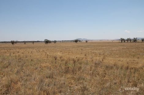 1417 Howes Hill Rd, Spring Ridge, NSW 2343