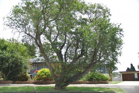 56 Seladon Ave, Wallsend, NSW 2287