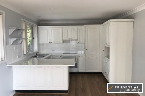 Property photo of 49 Chaperon Crescent Minto NSW 2566