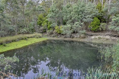 Property photo of 192 Lower Swamp Road Lachlan TAS 7140
