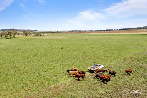 Property photo of 195 Moran Road Linthorpe QLD 4356