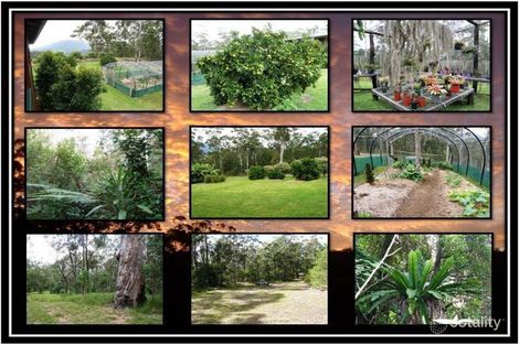 Property photo of 741 Gradys Creek Road Gradys Creek NSW 2474