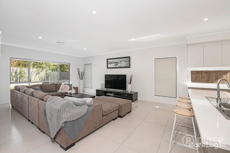 Property photo of 117 Dahlia Street Cannon Hill QLD 4170