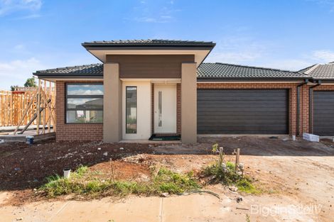 21 Ivory St, Cobblebank, VIC 3338