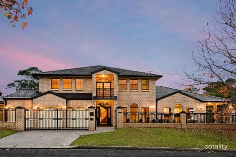 41B DUKE ST, FORESTVILLE, NSW 2087