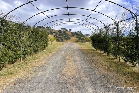 Property photo of 79 Five Mile Creek Road Gundagai NSW 2722