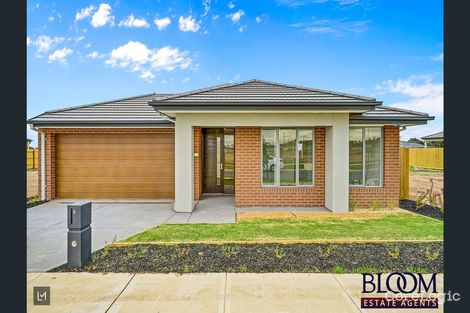 Property photo of 17 Baffin Road Craigieburn VIC 3064