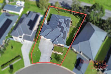 Property photo of 5 Warden Close Bolwarra Heights NSW 2320