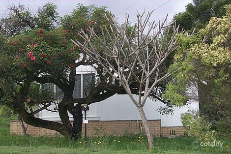 55 Currey Ave, Moorooka, QLD 4105