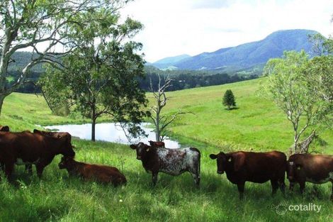 194 Toose Rd, Bellbrook, NSW 2440