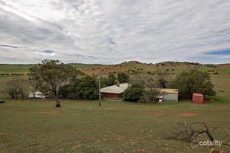 Property photo of LOT 33 Minnenooka Road Minnenooka WA 6532