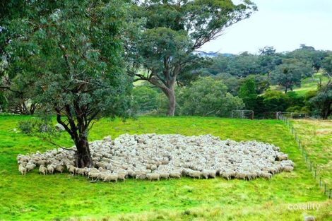 1294 Julong Rd, Binda, NSW 2583