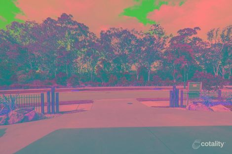 Property photo of 13 Wollombi Avenue Ormeau Hills QLD 4208