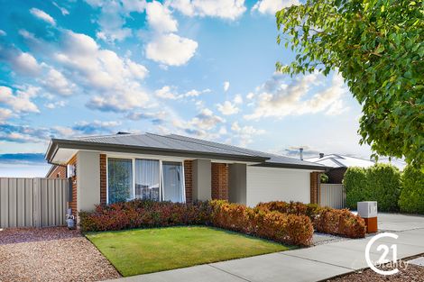 Property photo of 12 Birch Street Echuca VIC 3564