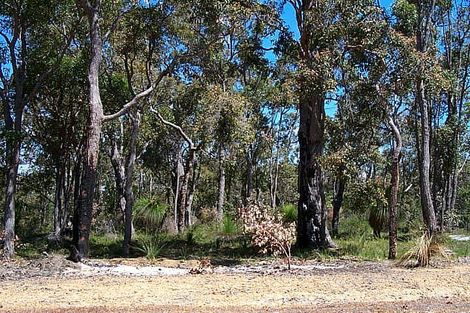 42 Burwood Lane, Yallingup Siding, WA 6282