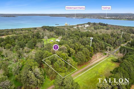 25 Arunta Ave, Hastings, VIC 3915