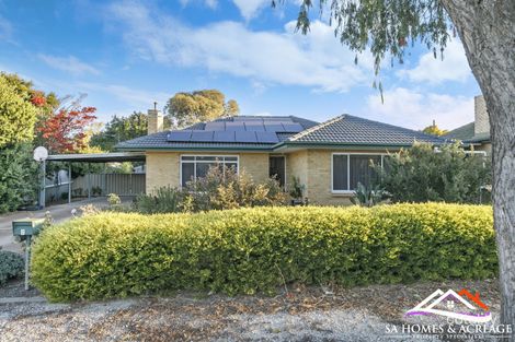 7 Corella St, Nuriootpa, SA 5355