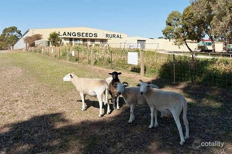 Property photo of 359 Nairne Road Woodside SA 5244