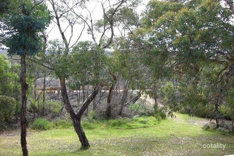Property photo of 11 Ingram Road Anglesea VIC 3230