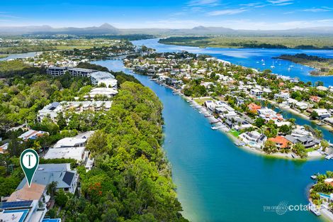 Property photo of 11 Natasha Avenue Noosa Heads QLD 4567