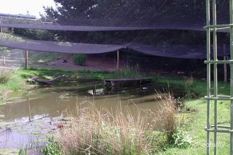 Property photo of 125 Windermere Road Windermere TAS 7252