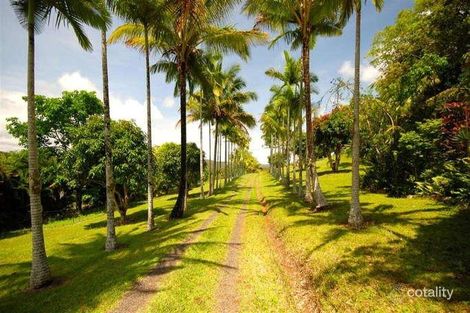 Property photo of 131 Veivers Drive Speewah QLD 4881