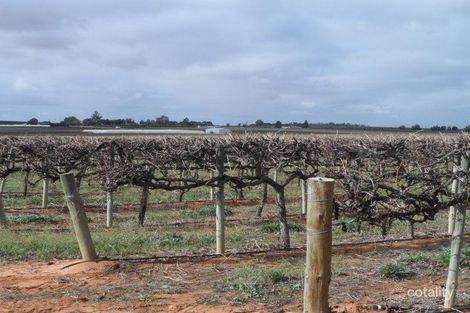 Lot 524 Balfour Ogilvy Ave, Loxton North, SA 5333