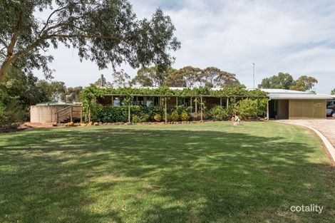 447 Lakeside Dr, Lake Boga, VIC 3584