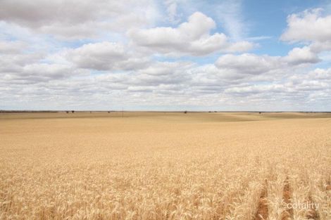 367 Viney Rd, Meribah, SA 5311