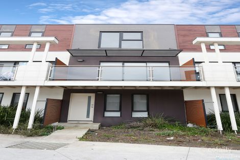 Property photo of 19 Alexander Circuit Craigieburn VIC 3064