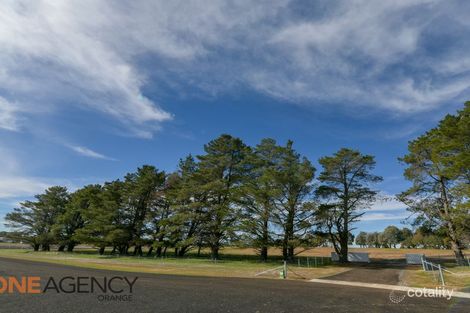 1019 Forest Reefs Rd, Forest Reefs, NSW 2798