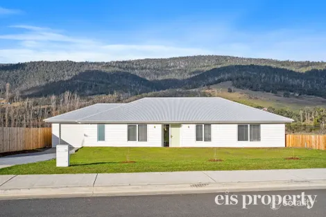 13 Southbridge Pl, Huonville, TAS 7109