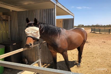 20 Harris Rd, Dublin, SA 5501