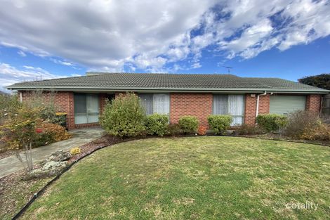 8 Burdekin Rd, Highton, VIC 3216