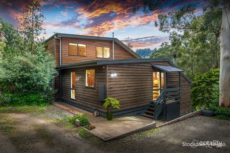 44 Oconnors Rd, The Patch, VIC 3792