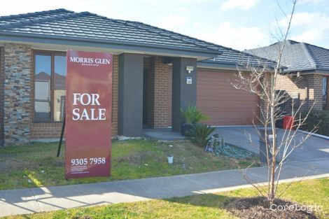 Property photo of 34 Bradshaw Avenue Craigieburn VIC 3064